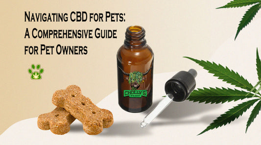Navigating CBD for Pets: A Comprehensive Guide for Pet Owners