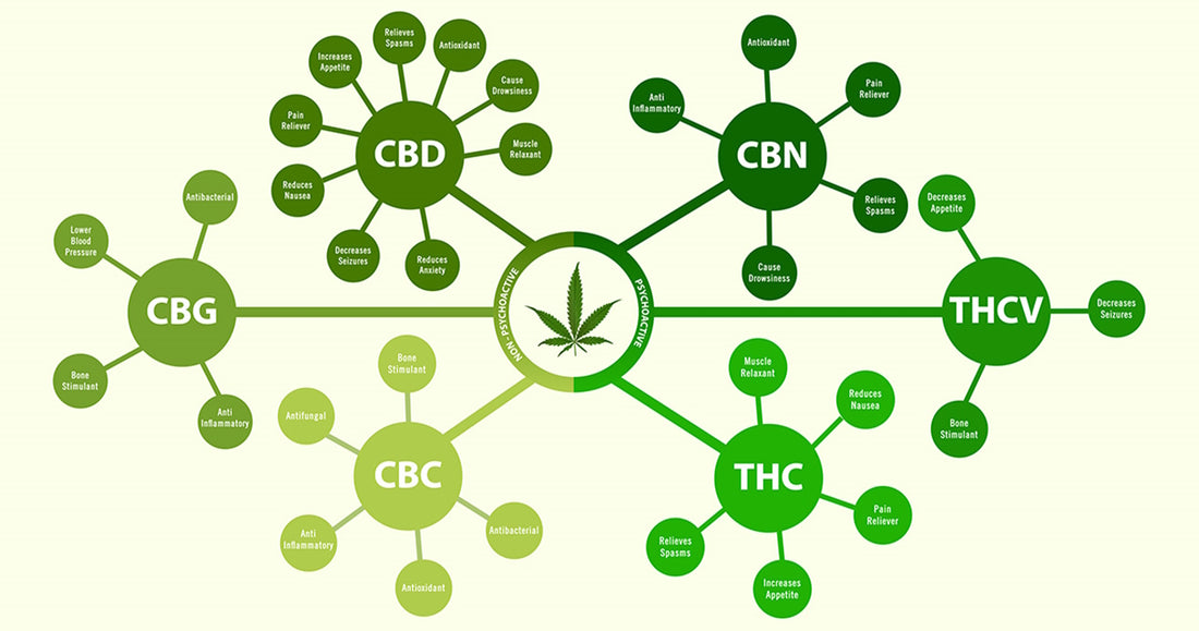 THC CBD Cannabinoid HHC CBN CBG THCO THCv CBC