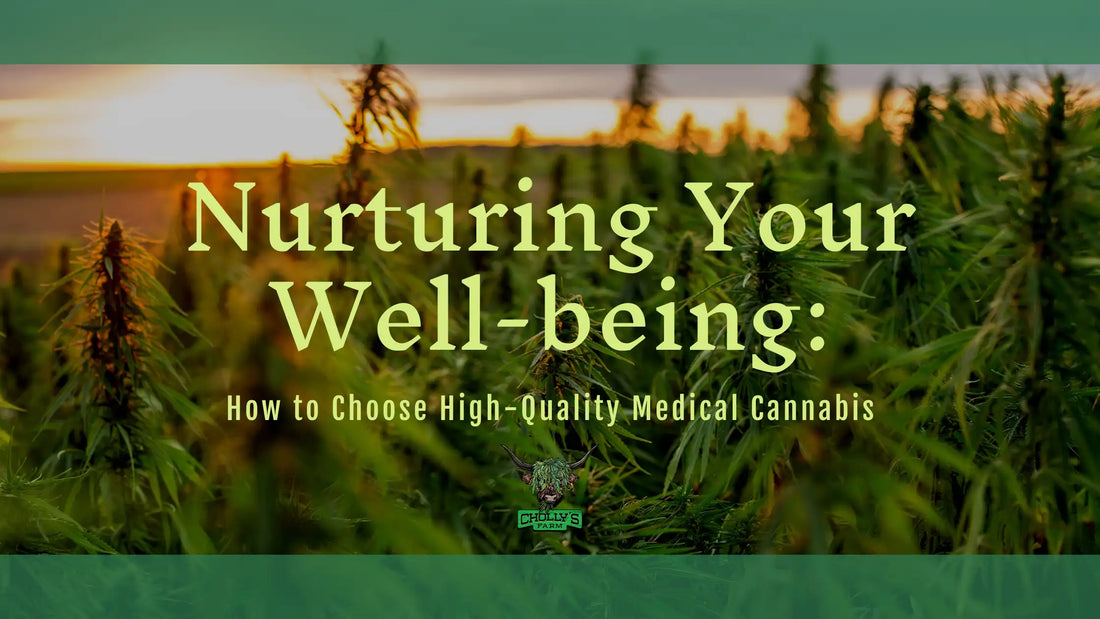 How to Choose High-Quality Medicinal Cannabis