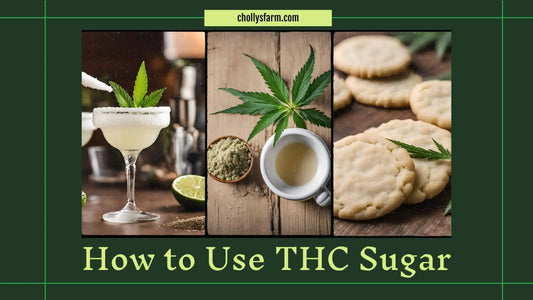How to Use THC Sugar