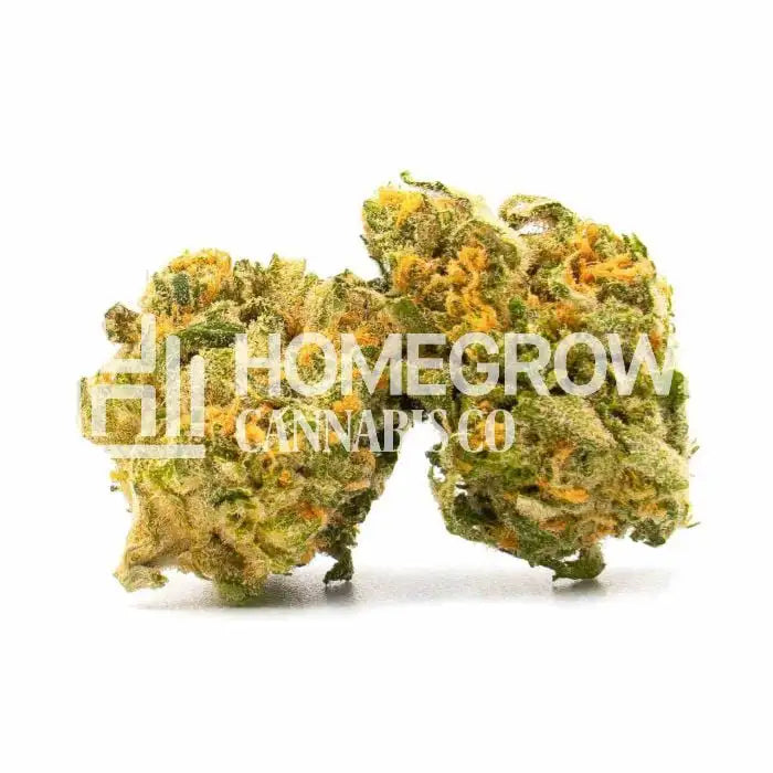 Cannabis Seeds Wild Hog Autoflower Pack