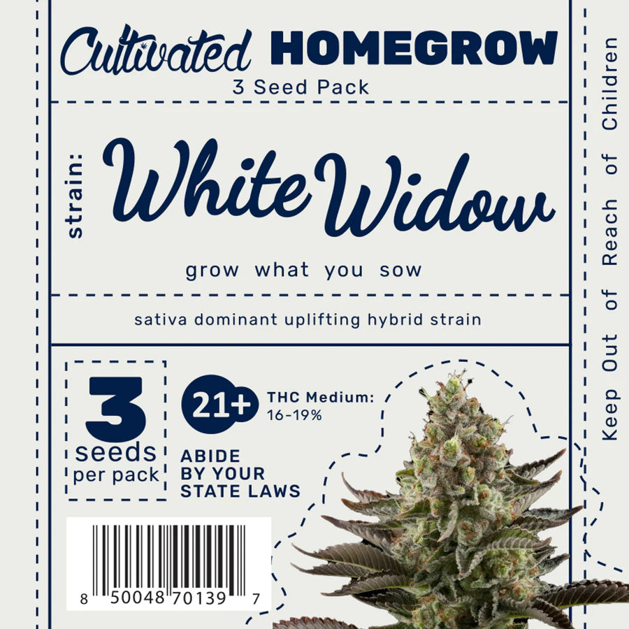 Cannabis Seeds - White Widow Feminized 3-Pack